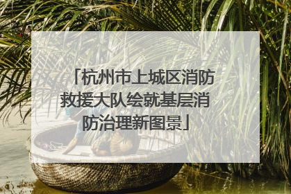杭州市上城区消防救援大队绘就基层消防治理新图景